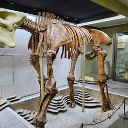 Slanic Moldova Ethnographic Museum - Slanic Moldova