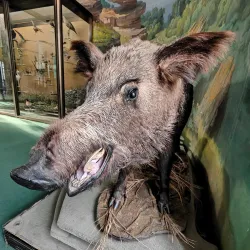 Slanic Moldova Ethnographic Museum - Slanic Moldova