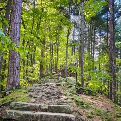 Tarcău Mountains Hiking Trails - Slanic Moldova