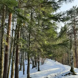 Tarcău Mountains Hiking Trails - Slanic Moldova