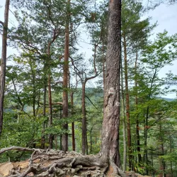 Tarcău Mountains Hiking Trails - Slanic Moldova
