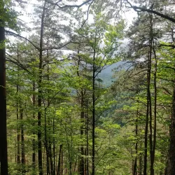 Tarcău Mountains Hiking Trails - Slanic Moldova