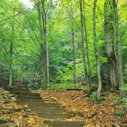 Tarcău Mountains Hiking Trails - Slanic Moldova