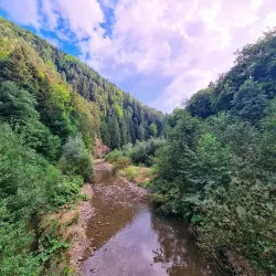 Valea Slănicului Nature Walk - Slanic Moldova