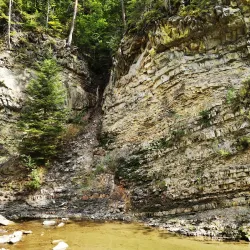 Valea Slănicului Nature Walk - Slanic Moldova