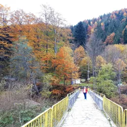 Valea Slănicului Nature Walk - Slanic Moldova