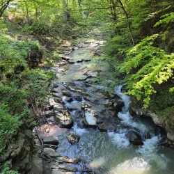 Valea Slănicului Nature Walk - Slanic Moldova