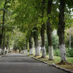 Slobozia City Park - Slobozia
