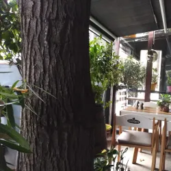 Traditional Romanian Restaurants - Slobozia