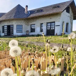 Local Artisan Workshops - Targu Frumos