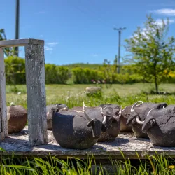 Local Artisan Workshops - Targu Frumos