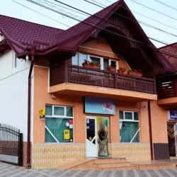 Local Traditional Houses - Targu Frumos