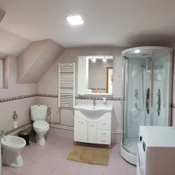 Local Traditional Houses - Targu Frumos