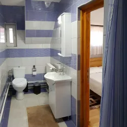 Local Traditional Houses - Targu Frumos