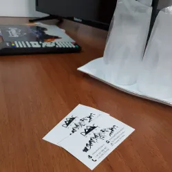 Local Traditional Houses - Targu Frumos