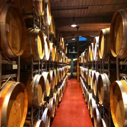 Nearby Vineyards and Wineries - Targu Frumos