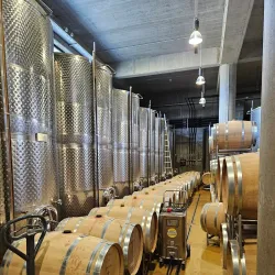 Nearby Vineyards and Wineries - Targu Frumos