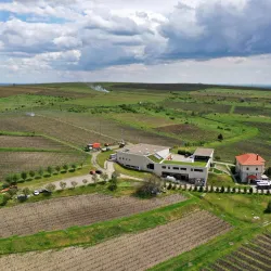 Nearby Vineyards and Wineries - Targu Frumos