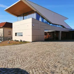 Nearby Vineyards and Wineries - Targu Frumos