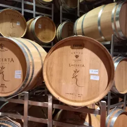 Nearby Vineyards and Wineries - Targu Frumos