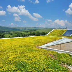 Nearby Vineyards and Wineries - Targu Frumos