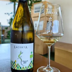 Nearby Vineyards and Wineries - Targu Frumos