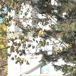 Saint Nicholas Church - Targu Frumos