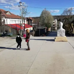 Targu Frumos Cultural Center - Targu Frumos