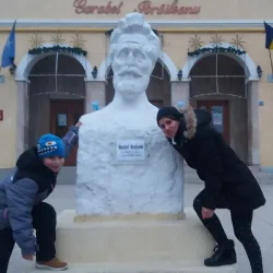 Targu Frumos Cultural Center - Targu Frumos