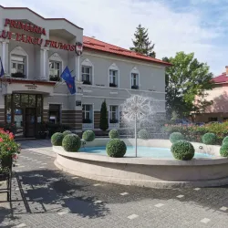 Targu Frumos Town Hall - Targu Frumos