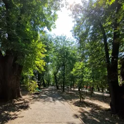 Central Park (Parcul Central) - Targu Jiu (Tirgu Jiu)