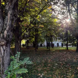 Constantin Brâncuși Museum - Targu Jiu (Tirgu Jiu)
