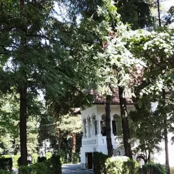 Constantin Brâncuși Museum - Targu Jiu (Tirgu Jiu)