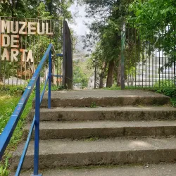 Targu Jiu Art Museum - Targu Jiu (Tirgu Jiu)
