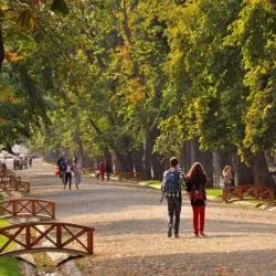 Central Park (Parcul Central) - Targu Mures