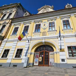 The Art Museum - Targu Mures