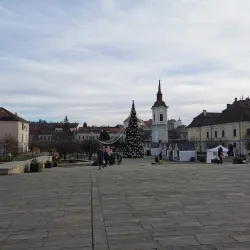 The Art Museum - Targu Mures