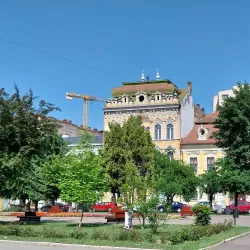 The Art Museum - Targu Mures