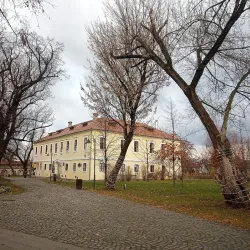 The History Museum - Targu Mures