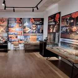 The History Museum - Targu Mures