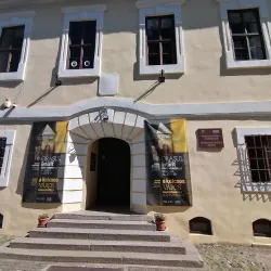 The History Museum - Targu Mures