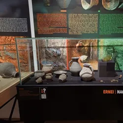 The History Museum - Targu Mures