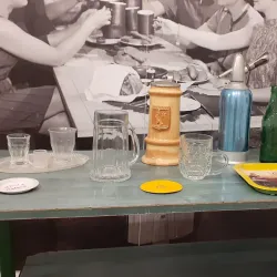 The History Museum - Targu Mures