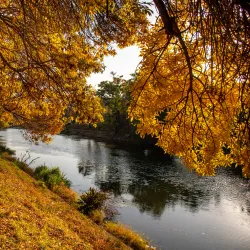 Bega River Promenade - Timisoara