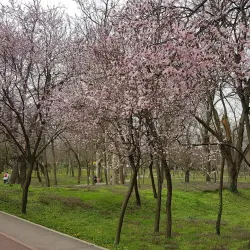 Bega River Promenade - Timisoara
