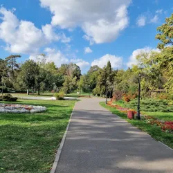 Botanical Park - Timisoara