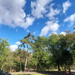 Botanical Park - Timisoara