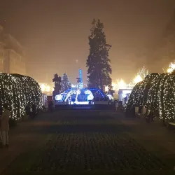 Huniade Castle - Timisoara