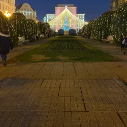 Romanian Opera House - Timisoara