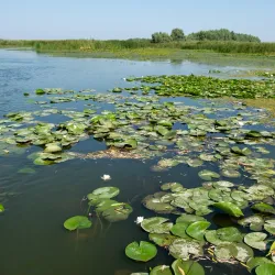 Danube Delta Biosphere Reserve - Tulcea